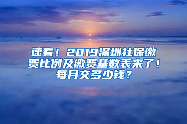 速看！2019深圳社保缴费比例及缴费基数表来了！每月交多少钱？