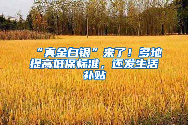 “真金白银”来了！多地提高低保标准，还发生活补贴