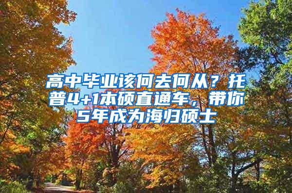 高中毕业该何去何从？托普4+1本硕直通车，带你5年成为海归硕士