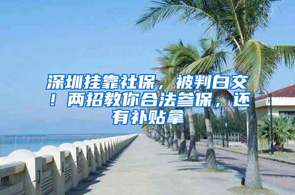 深圳挂靠社保，被判白交！两招教你合法参保，还有补贴拿
