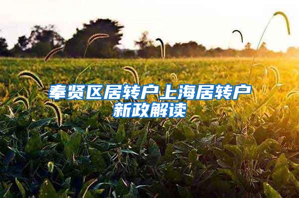 奉贤区居转户上海居转户新政解读