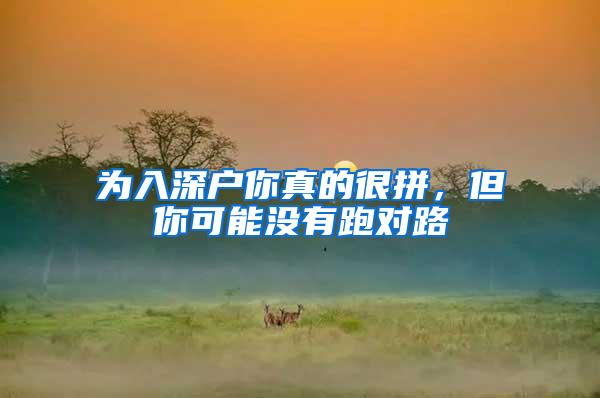 为入深户你真的很拼，但你可能没有跑对路