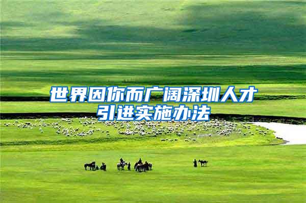 世界因你而广阔深圳人才引进实施办法