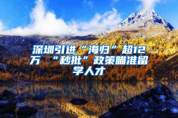 深圳引进“海归”超12万 “秒批”政策瞄准留学人才