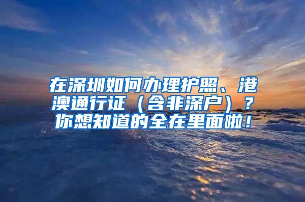 在深圳如何办理护照、港澳通行证（含非深户）？你想知道的全在里面啦！