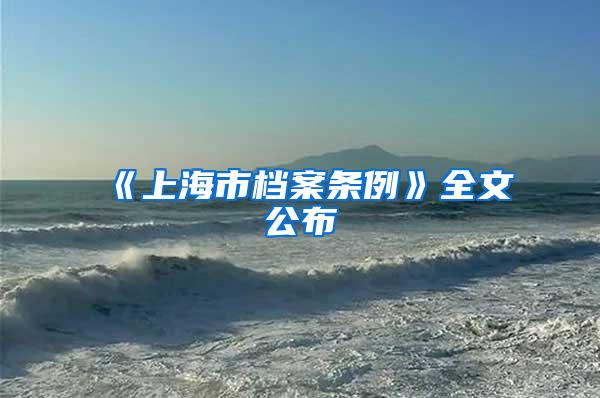 《上海市档案条例》全文公布