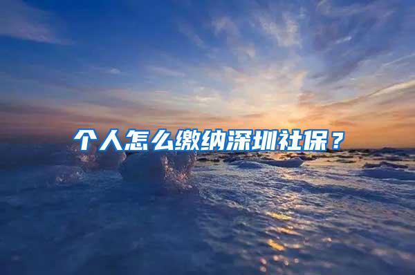 个人怎么缴纳深圳社保？