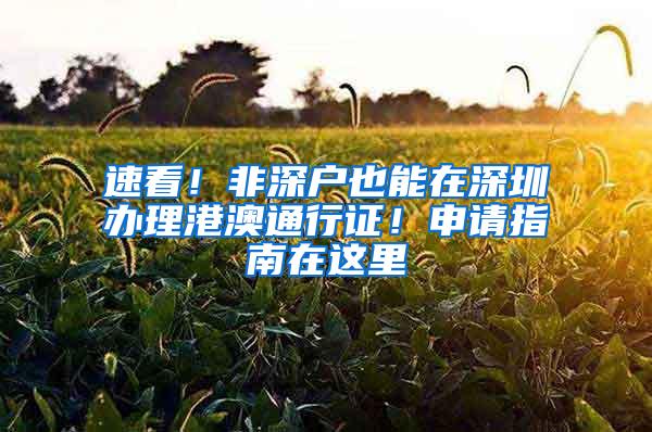 速看！非深户也能在深圳办理港澳通行证！申请指南在这里