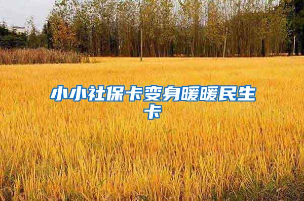 小小社保卡变身暖暖民生卡