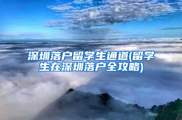 深圳落户留学生通道(留学生在深圳落户全攻略)
