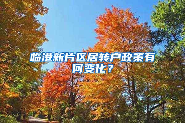 临港新片区居转户政策有何变化？