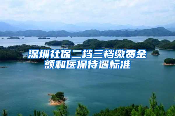 深圳社保二档三档缴费金额和医保待遇标准