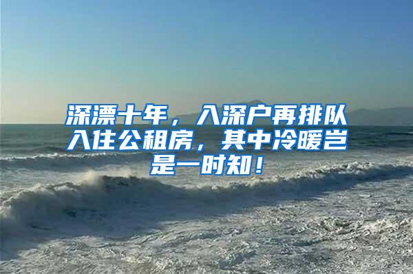 深漂十年，入深户再排队入住公租房，其中冷暖岂是一时知！