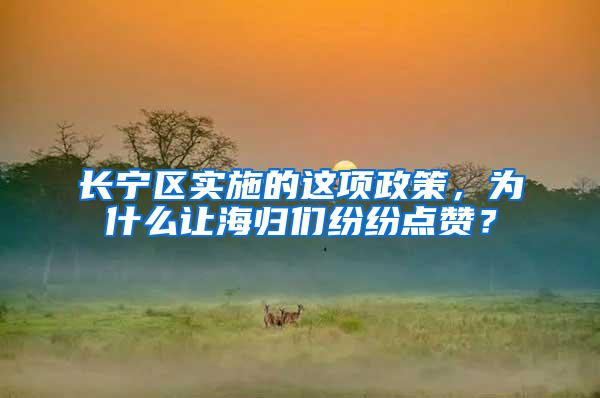 长宁区实施的这项政策，为什么让海归们纷纷点赞？