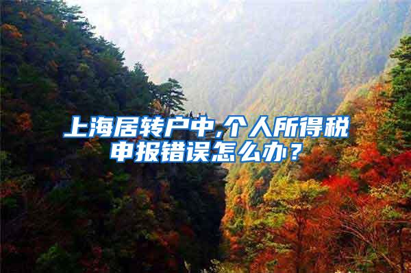 上海居转户中,个人所得税申报错误怎么办？