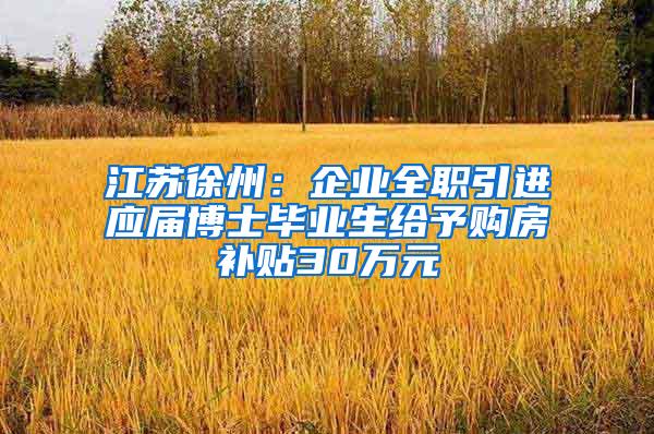 江苏徐州：企业全职引进应届博士毕业生给予购房补贴30万元