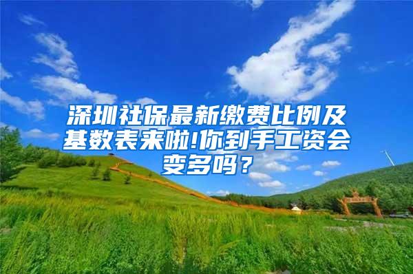深圳社保最新缴费比例及基数表来啦!你到手工资会变多吗？