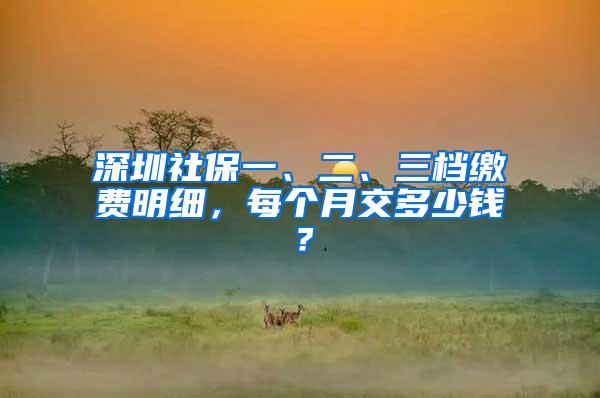 深圳社保一、二、三档缴费明细，每个月交多少钱？