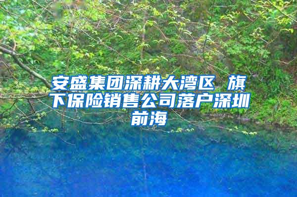 安盛集团深耕大湾区 旗下保险销售公司落户深圳前海