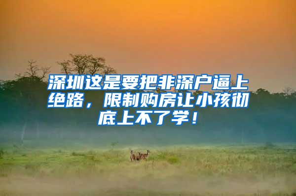 深圳这是要把非深户逼上绝路，限制购房让小孩彻底上不了学！