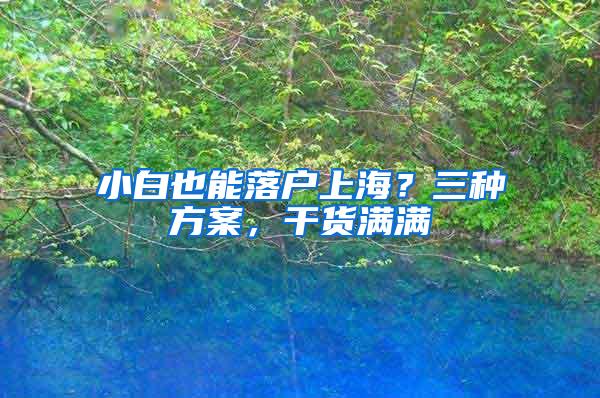 小白也能落户上海？三种方案，干货满满