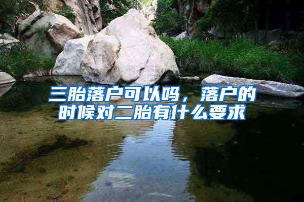 三胎落户可以吗，落户的时候对二胎有什么要求