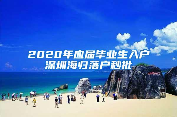 2020年应届毕业生入户深圳海归落户秒批