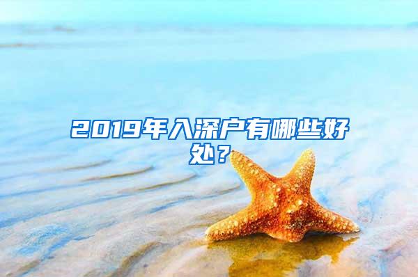 2019年入深户有哪些好处？