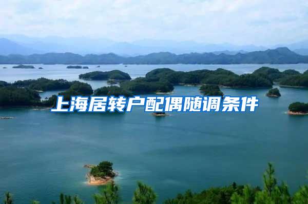 上海居转户配偶随调条件