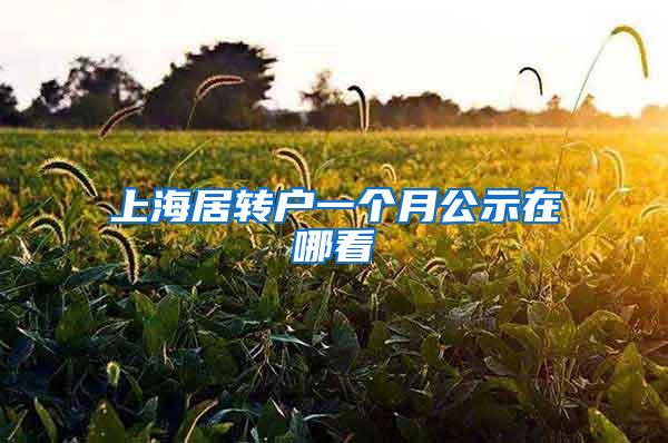 上海居转户一个月公示在哪看