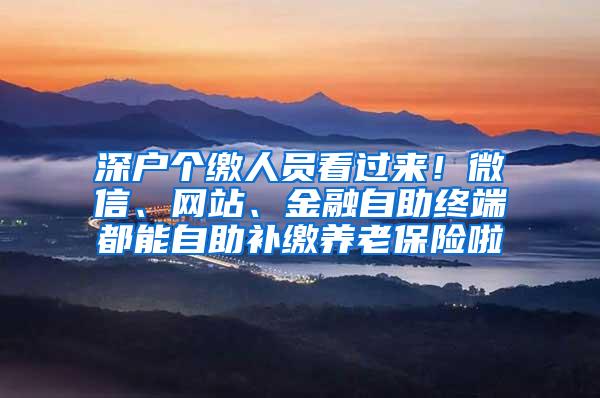 深户个缴人员看过来！微信、网站、金融自助终端都能自助补缴养老保险啦