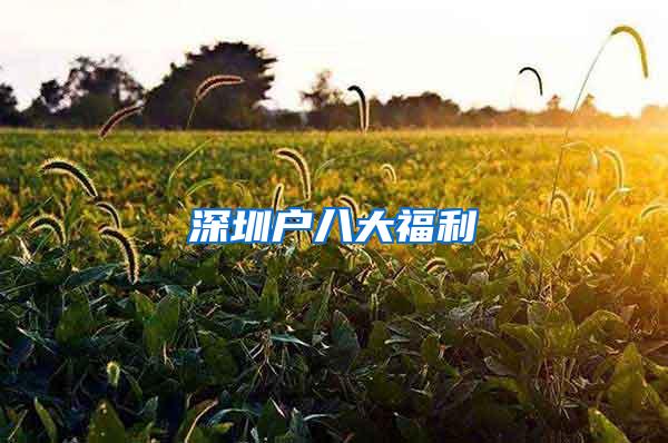 深圳户八大福利