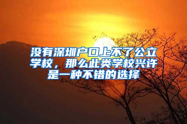 没有深圳户口上不了公立学校，那么此类学校兴许是一种不错的选择