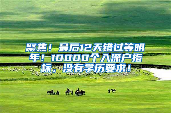 聚焦！最后12天错过等明年！10000个入深户指标，没有学历要求！