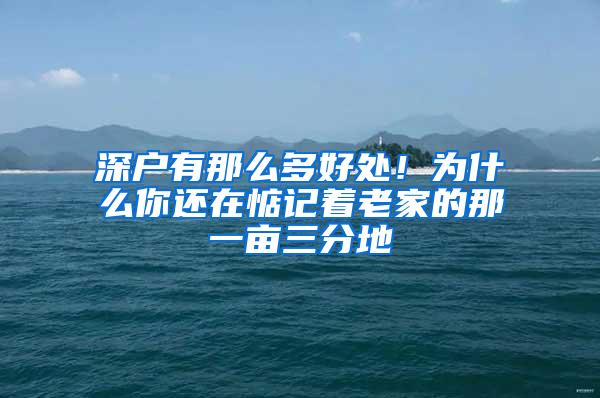 深户有那么多好处！为什么你还在惦记着老家的那一亩三分地