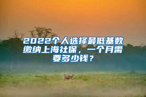 2022个人选择最低基数缴纳上海社保，一个月需要多少钱？