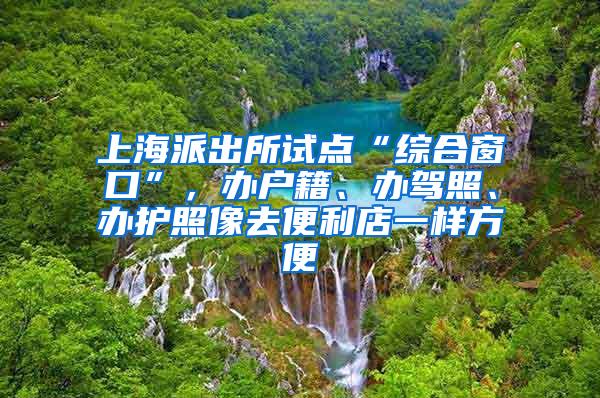 上海派出所试点“综合窗口”，办户籍、办驾照、办护照像去便利店一样方便