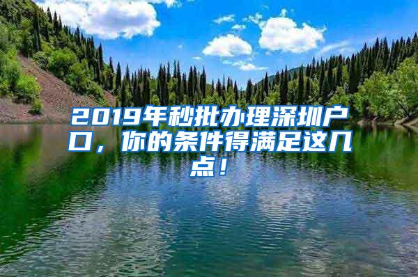 2019年秒批办理深圳户口，你的条件得满足这几点！