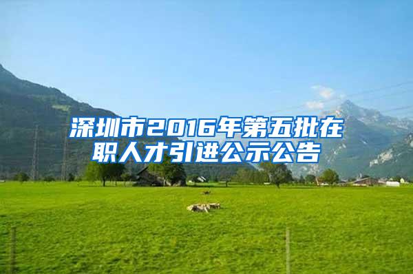 深圳市2016年第五批在职人才引进公示公告