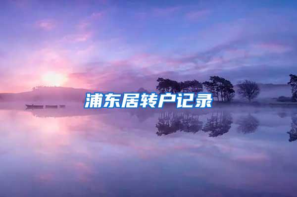 浦东居转户记录