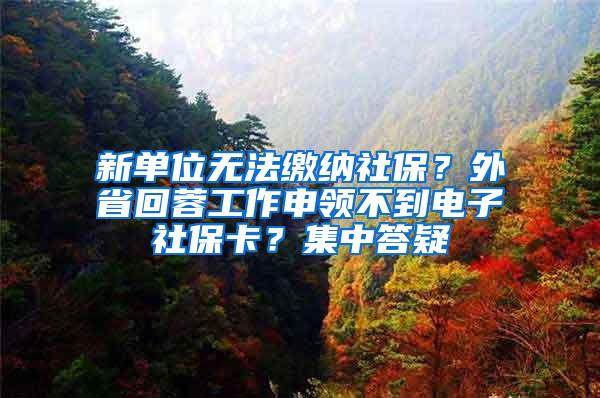 新单位无法缴纳社保？外省回蓉工作申领不到电子社保卡？集中答疑