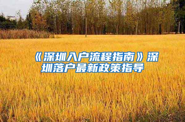 《深圳入户流程指南》深圳落户最新政策指导