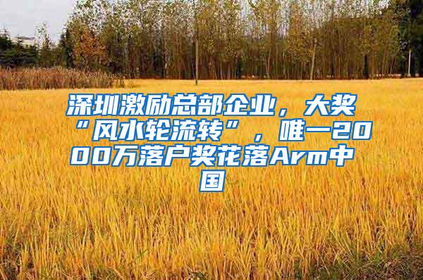 深圳激励总部企业，大奖“风水轮流转”，唯一2000万落户奖花落Arm中国