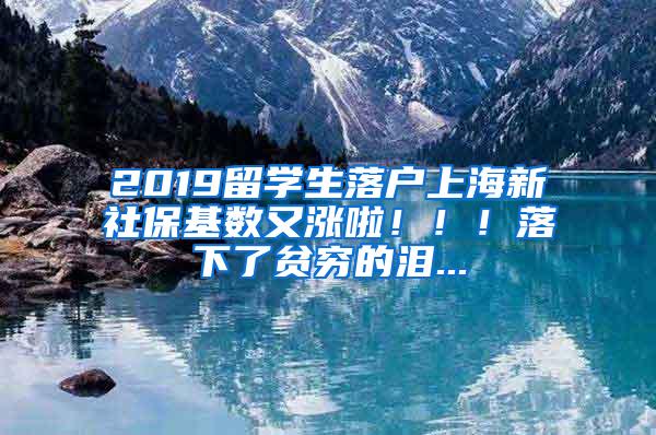 2019留学生落户上海新社保基数又涨啦！！！落下了贫穷的泪...