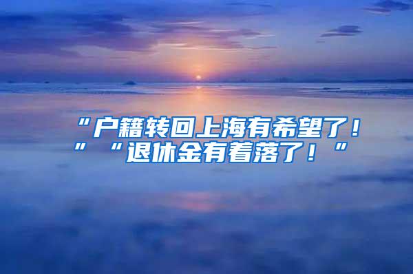 “户籍转回上海有希望了！”“退休金有着落了！”