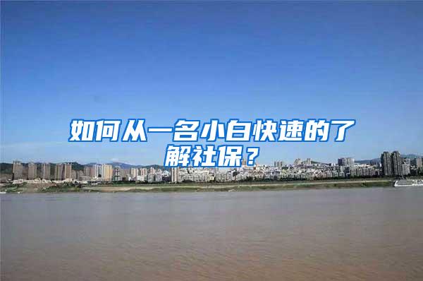 如何从一名小白快速的了解社保？