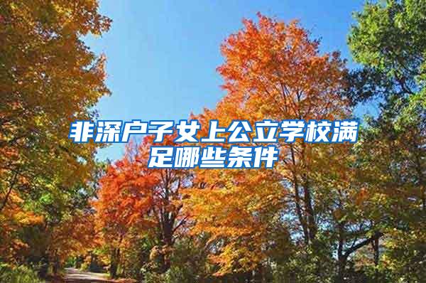 非深户子女上公立学校满足哪些条件