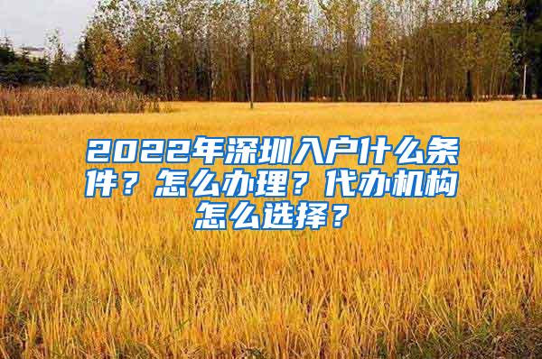 2022年深圳入户什么条件？怎么办理？代办机构怎么选择？