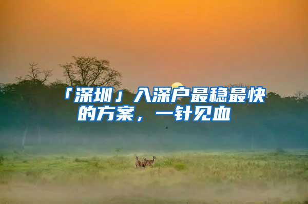 「深圳」入深户最稳最快的方案，一针见血