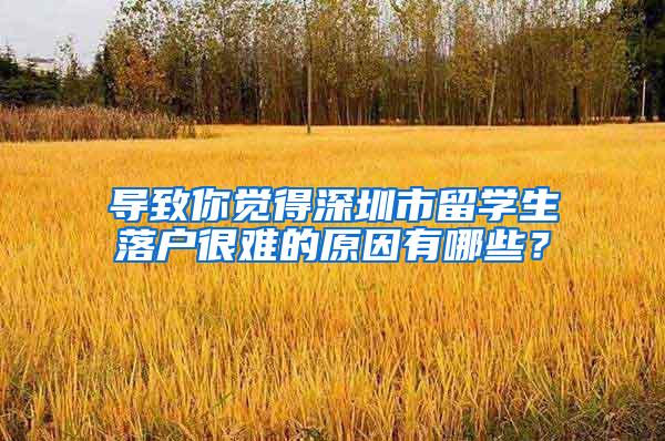 导致你觉得深圳市留学生落户很难的原因有哪些？
